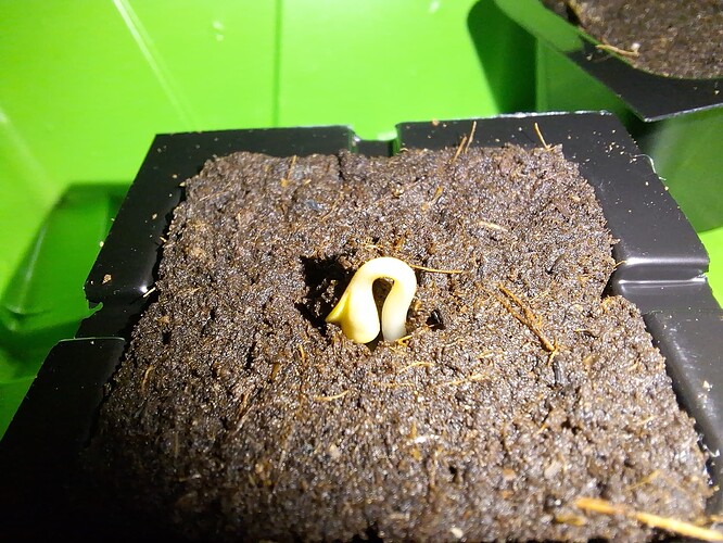 Growreport Bild 20