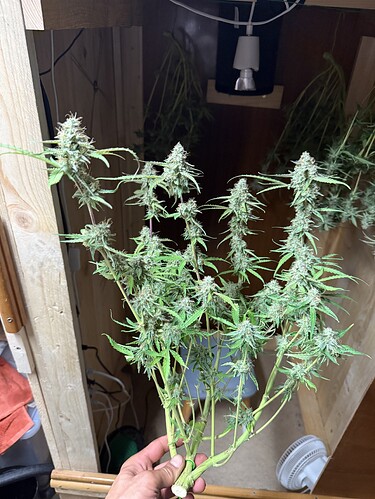 Growreport Bild 8