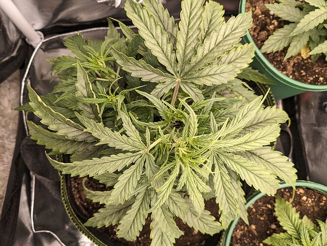 PXL_20240514_225929554