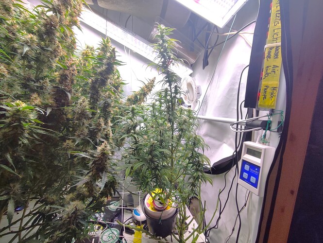 Growreport Bild 20