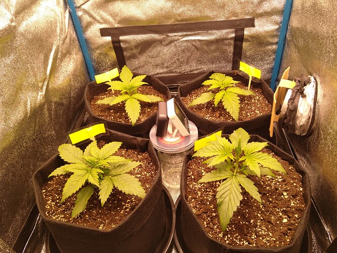 Growreport Bild 6