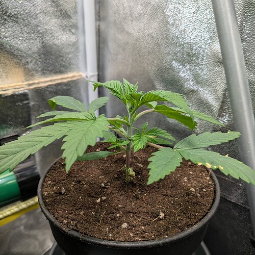 Growreport Bild 10