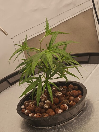 Growreport Bild 34