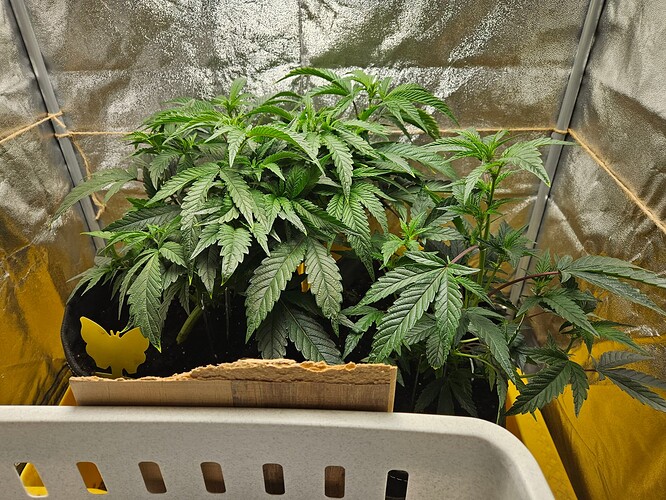 Growreport Bild 21