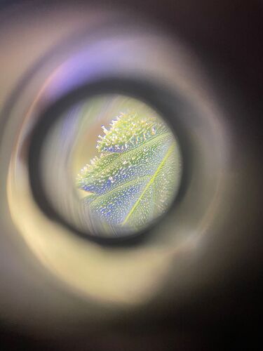 Growreport Bild 8