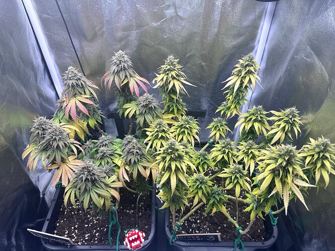 Growreport Bild 10