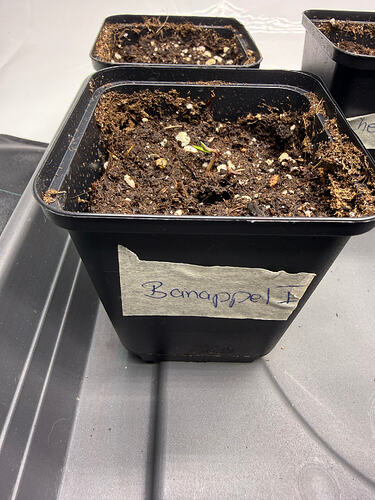 Growreport Bild 21