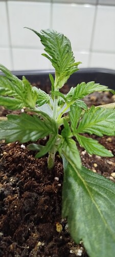 Growreport Bild 13