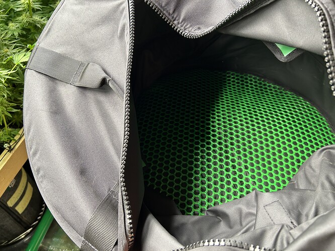 Eine Cannabis-Pflanze in der Blütephase ist im Hintergrund links zu sehen, teilweise verdeckt von einer geöffneten grauen Tasche mit einem grünen Gittereinsatz.