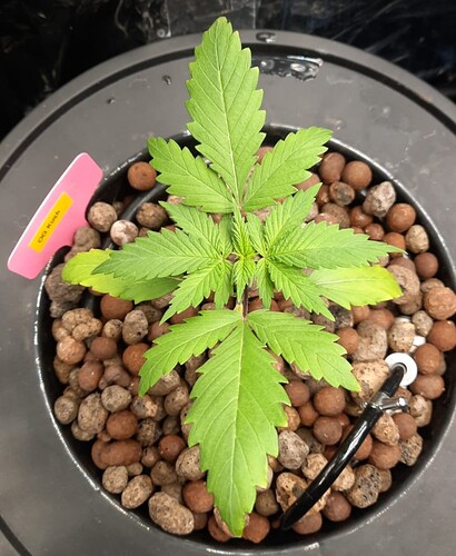 Growreport Bild 4