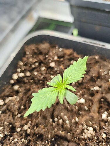 Growreport Bild 20
