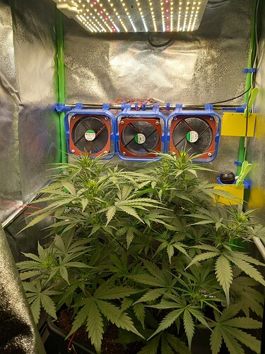 Growreport Bild 6