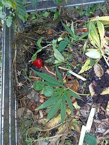 WhatsApp Bild 2024-09-05 um 12.53.21_af8bde7d