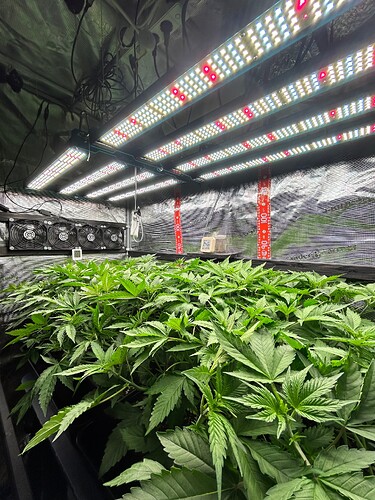 Growreport Bild 9