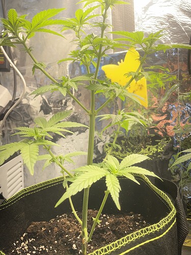 Growreport Bild 5