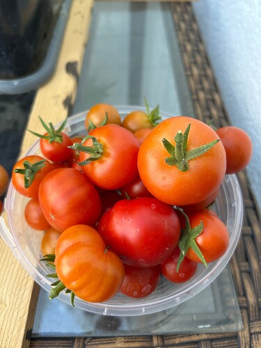 Growreport Bild 20