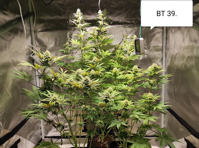 Growreport Bild 10