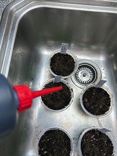 Growreport Bild 19