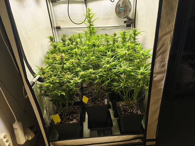 Growreport Bild 6