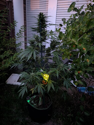 Growreport Bild 8