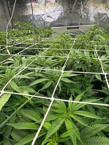 Growreport Bild 21