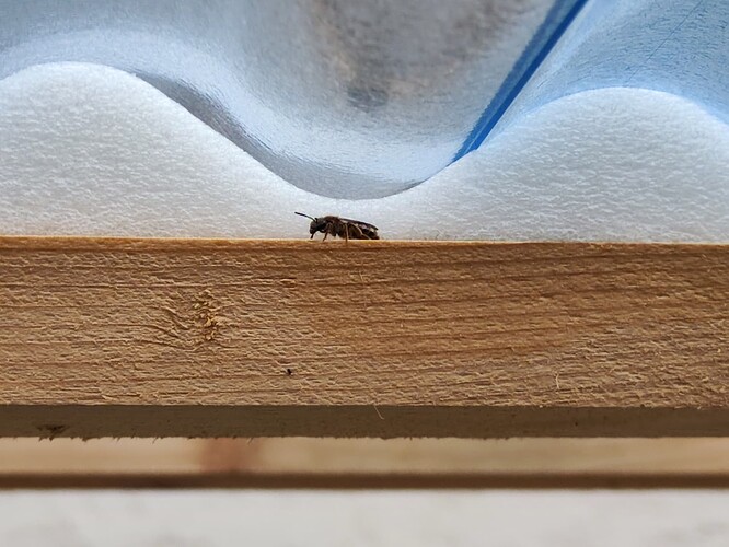 Growreport Bild 1
