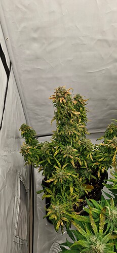 Growreport Bild 26