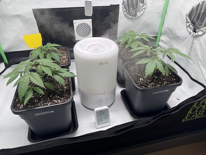 Growreport Bild 12
