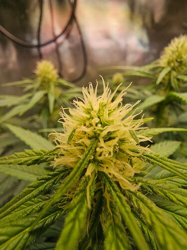 Growreport Bild 15