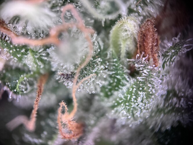 Growreport Bild 23