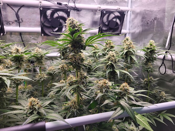 Growreport Bild 3