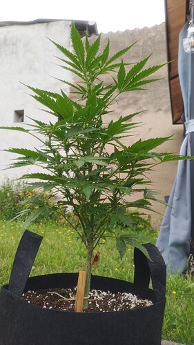 Growreport Bild 5