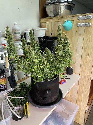 Growreport Bild 57