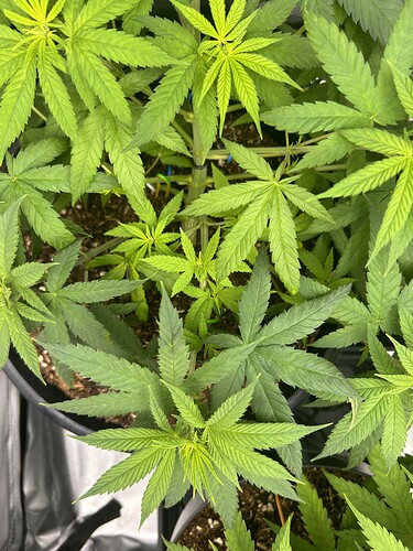 Growreport Bild 12