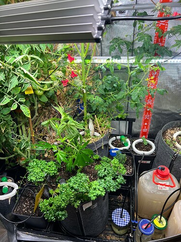 Growreport Bild 10