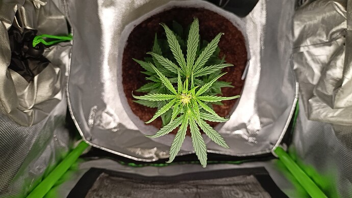 Growreport Bild 11