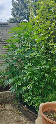 Growreport Bild 10