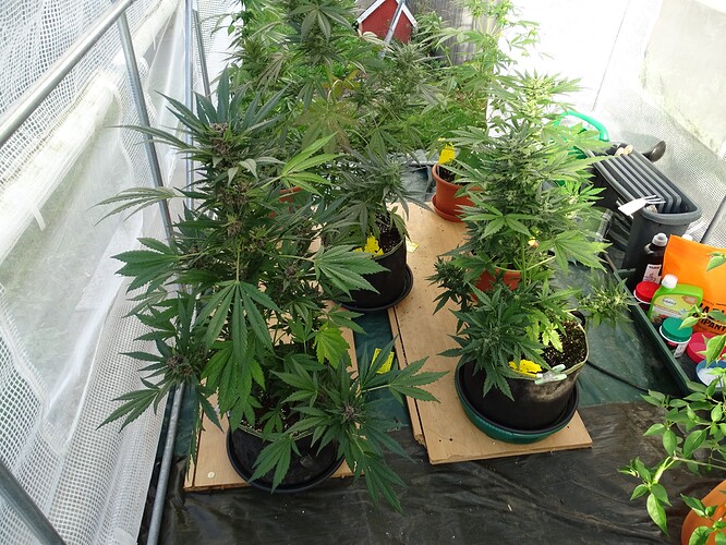 Growreport Bild 25