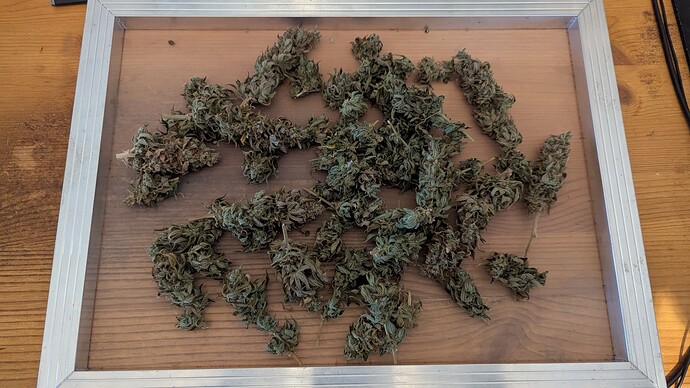Growreport Bild 7