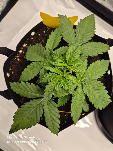 Growreport Bild 16