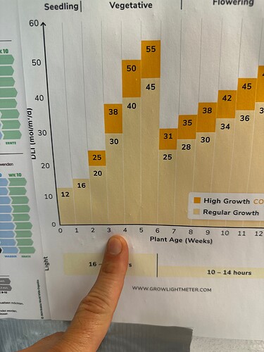 Growreport Bild 80