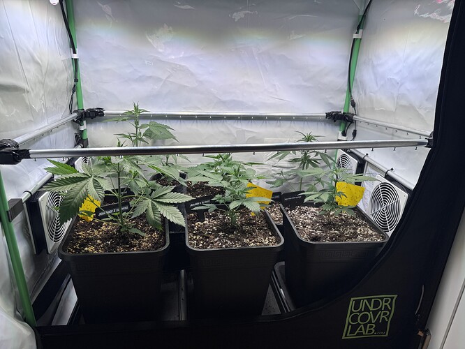 Growreport Bild 12