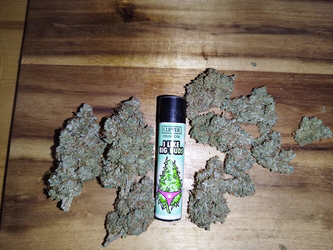 Mehrere getrocknete Cannabis-Buds liegen auf einem Holzhintergrund, daneben ein Feuerzeug mit der Aufschrift 'I LIKE BIG BUDS'.