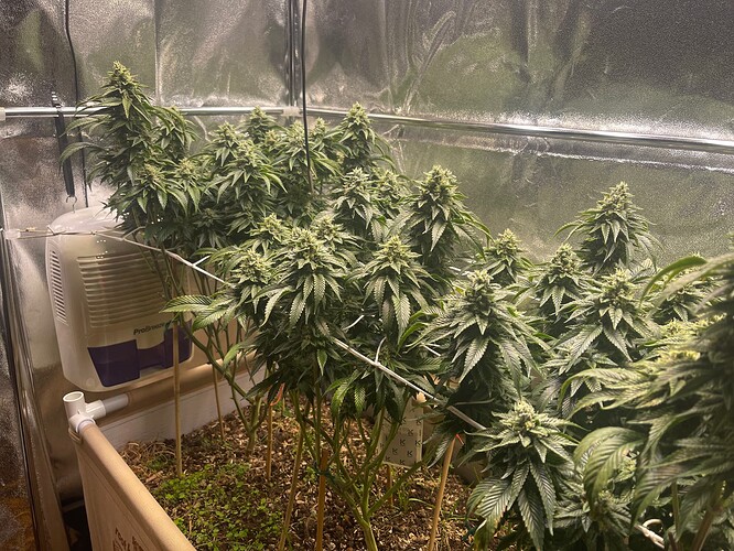 Growreport Bild 4