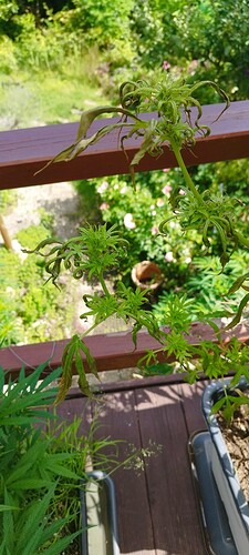 Growreport Bild 2
