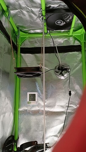 Growreport Bild 4
