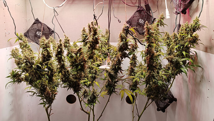 Growreport Bild 18
