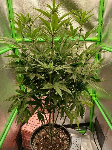 Growreport Bild 11