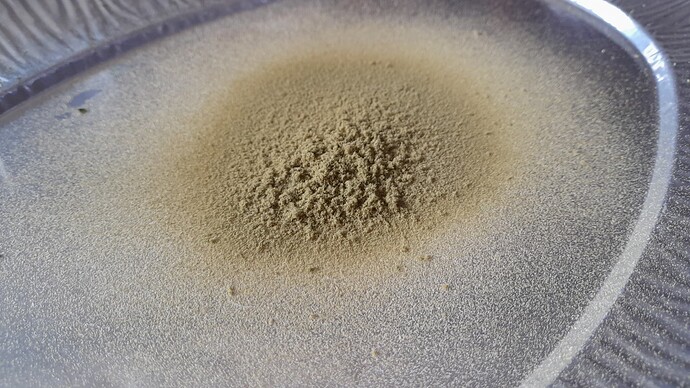 Growreport Bild 1