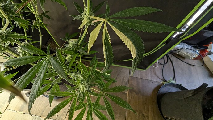 Growreport Bild 7